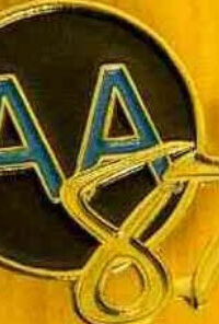 AA 87 Pin